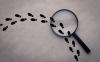Photo for Private Investigator Malaysia