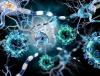 Photo for Global Industrial Microbiology Market Present Chances, Trends, Value Chain And Stakeholder Analysis 2018-2026