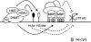 Photo for DNA Methyltransferase