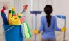 Photo for House Cleaning Service in Kochi