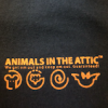 Photo for Animals In The Attic