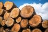 Photo for Wood Pellet to Reach US$ 14,694.6 Mn by 2027
