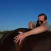 Photo for Wagner Horse Doc, LLC