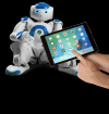 Photo for NAORobot