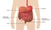 Photo for Global Irritable Bowel Syndrome Treatment Market with present Situation and Forecast To 2026