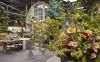 Photo for Florist Westport CT