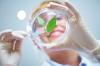 Photo for Global Agricultural Biologicals Market | Boom $ 14.2 Bn 2025 | CAGR 12.75%