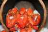 Photo for Chitin Market - Global Industry Insights, Trends, Outlook, and Opportunity Analysis, 2018–2026