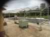 Photo for Strawberry Marquees