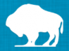 Photo for Buffalo Specialties Inc