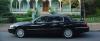 Photo for Special Occasion Limo Service Charlotte NC