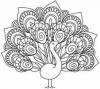 Photo for Embroidery Designs Download Free