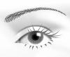 Photo for Best Ent Doctor in Chennai | Ent Surgeon