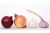 Photo for Prebiotics Market Analysis and Trends