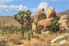 Photo for Visit 29 Palms