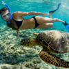 Photo for Maui Adventure Tours