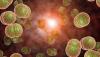 Photo for Procalcitonin Antibody Market: Moving Towards a Brighter Future 2018-2026