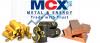Photo for MCX Trading Tips