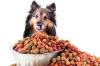 Photo for Animal Nutrition Chemicals Market : Industry Growth, Competitive Analysis, Future Prospects and Forecast 2017