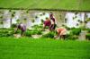 Photo for The General Crop Farming Market To Grow At A Higher Rate