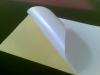 Photo for Buy Cast Coated Paper Online