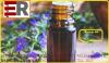 Photo for Hyssop Oil Market Research Report Released With Growth, Latest Trends & Forecasts Till 2023