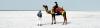 Photo for Kutch Rann Utsav Packages Booking 2019-20