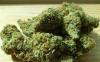 Photo for BUY AFGHANI HAWAIIAN
