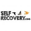 Photo for Self Recovery: The Online Addiction Program
