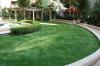 Photo for Artificial Grass In UAE