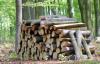 Photo for Crystal Lake Tree Service