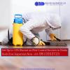 Photo for Pest Control Noida- Get up to 10% Discount