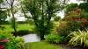 Photo for Gardening And The Benefits Of Going DIY With It