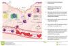Photo for Macrophage Polarization Signaling Pathway