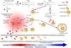 Photo for What is C-reactive protein?