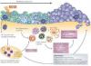 Photo for Clinical significance of five immunoglobulin tests