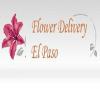 Photo for Same Day Flower Delivery El Paso TX - Send Flowers
