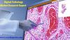 Photo for Global Digital Pathology Market Key Country Analysis and Regional Forecast 2015-2025