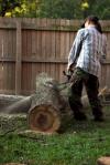 Photo for A & A Tree Service