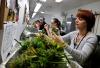 Photo for Know something about Extraction Technician Jobs