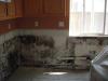 Photo for Mold Removal Financing