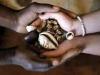 Photo for bring back love spells in germany ,kuwait, usa @ {+27733404752  }