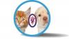 Photo for Steps To Better Oral Health | Skyline Animal Hospital