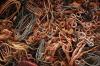Photo for Report Drivers and Restraints Factors of Nonferrous Metal Production And Processing Market