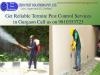 Photo for Pest control in Gurgaon, Dial +91-9810353723