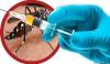 Photo for Dengue Vaccines Market Estimated To Reach Significant Size 2018-2026