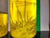 Photo for Picric Acid Market - Global Industry Insights, Trends, Outlook, and Opportunity Analysis, 2018-2026