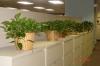 Photo for Plantscapes USA Provides the Very Best in Interior Plantscaping in Philadelphia