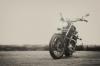 Photo for LA Motorsports