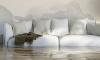 Photo for Water Damage Cleanup North Las Vegas